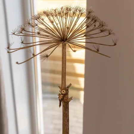 Bed & Bike Op Texel 3*