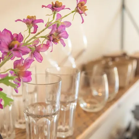 Casa de hóspedes Bed & Bike Op Texel 3*