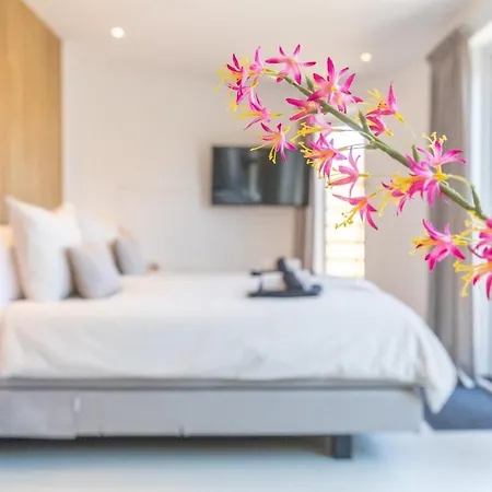 Bed & Bike Op Texel 3* Den Burg